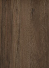 Orech Pacifik tabákový